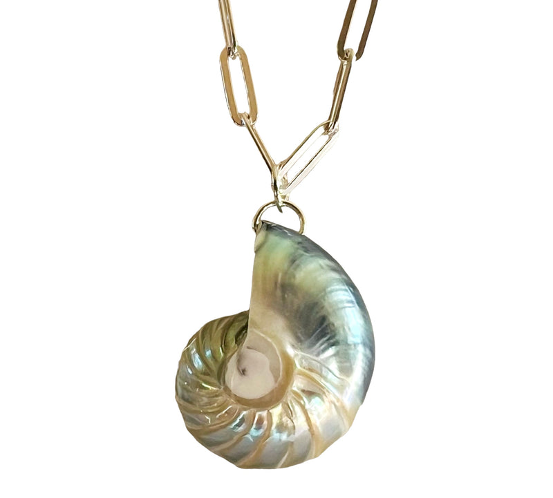 Medium Silver Nautilus Shell Pendant Necklace