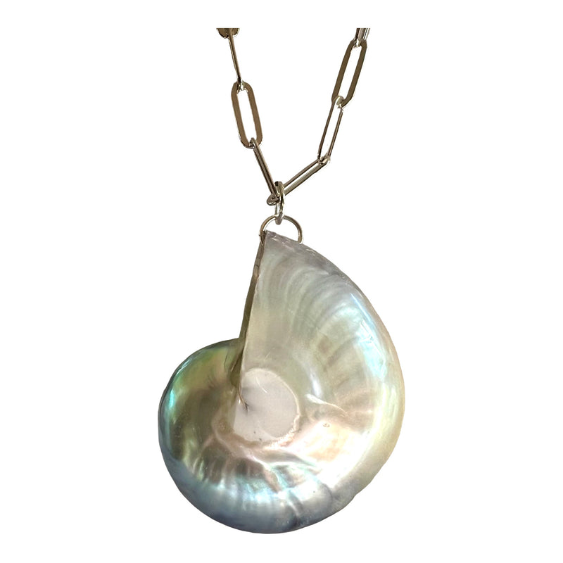 Large Silver Nautilus Shell Necklace